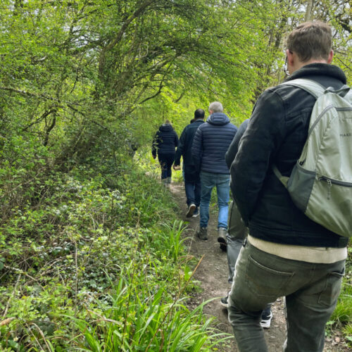 Nature-Inspired Wellbeing